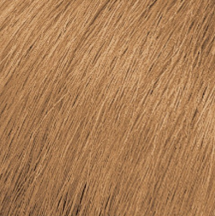 Matrix SoColor Sync Pre-Bonded Крем-краска для волос 8WN светлый блондин теплый натуральный 90мл