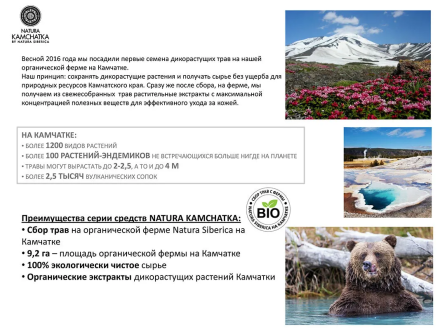 Natura Siberica Шампунь Natura Kamchatka &quot;ШЕЛКОВОЕ ЗОЛОТО&quot; питание и сияние волос 280мл