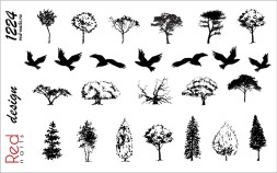 Слайдер-дизайн Red Nails №1224 - Деревья и птицы чб